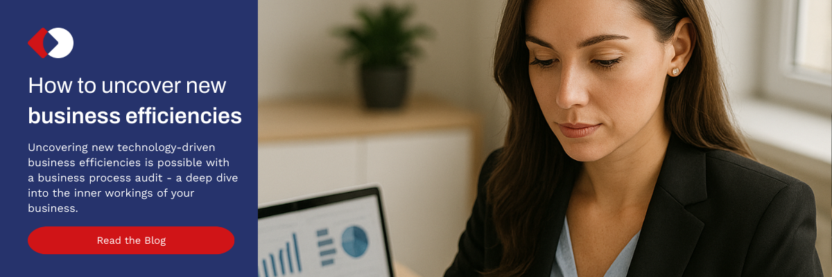 Business Process Audit CTA